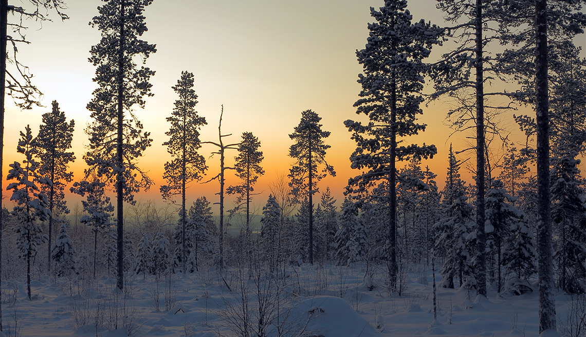 Winter Solstice Earth Bound Yoga with Ellie, December 19, 7:00-8:15pm