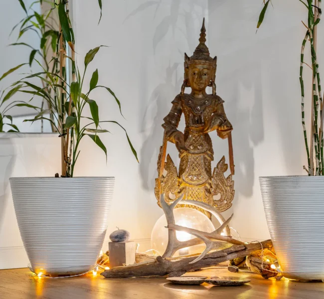 DatzaStudios-2025-17web