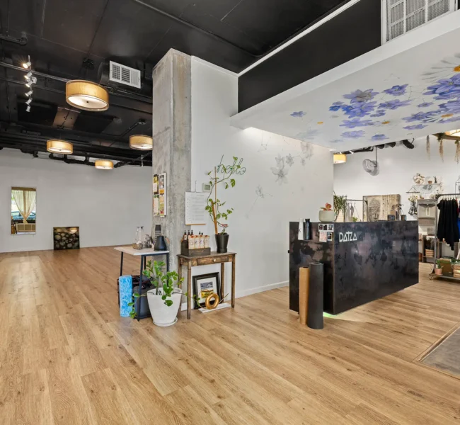 DatzaStudios-2025-1web