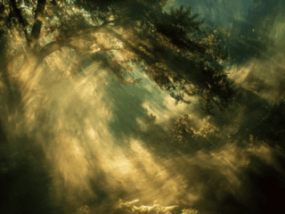 BREATHWORK: A Journey into Your Inner World with Elle Pavlenko