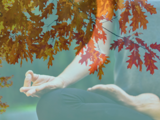 Root & Nourish: A Yoga & Ayurveda Workshop for the Fall Season  w/ Michele